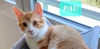 Tierschützer müssen sich gegenseitig unterstützen!