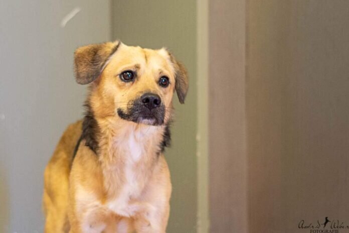 received_1463113894132697