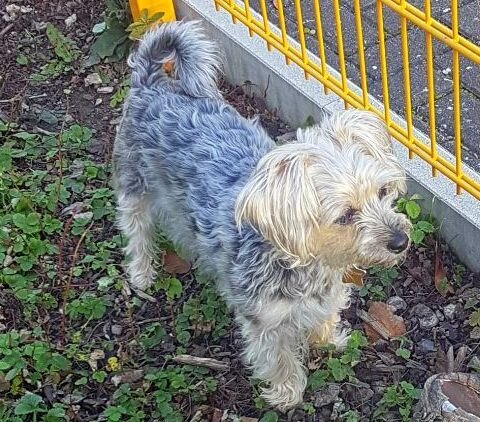 threema-20220816-214802444