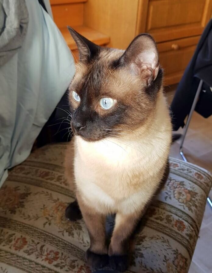 5da00a3f-2d81-4853-adc8-9b6850e01ad7