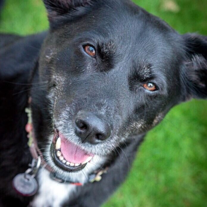 64C7B437-60A0-406C-AC16-DE163B039C18