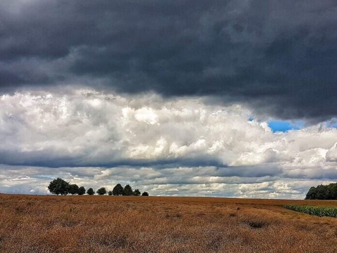 FB_IMG_1580914623563