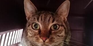 Noch sehr schüchtern und zurückhaltend – MAJA –