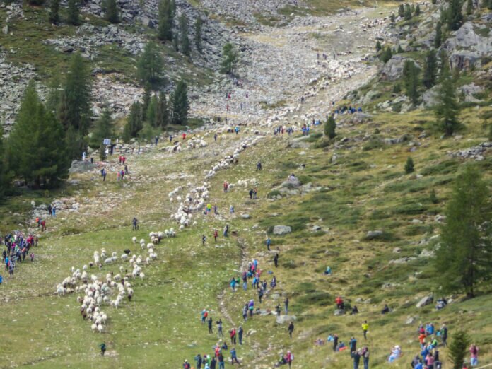 P1230971_bearbeitet-1