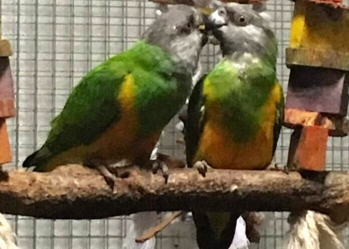 311148467_860969185310556_6914272407047866611_n_inPixio