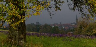 Herbst-Impressionen um Grünberg – Queckbörner Anhöhe.