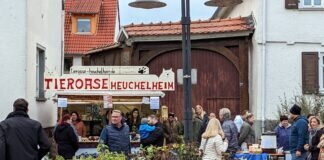 Schöner Martinsmarkt bei “Kaiserwetter”!