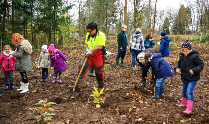 IMGP4207_bearbeitet-1