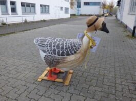 Geflügelausstellung in alter Schreinerei