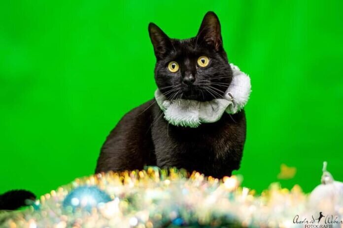 317911897_6141463549216810_6493444178957279222_n