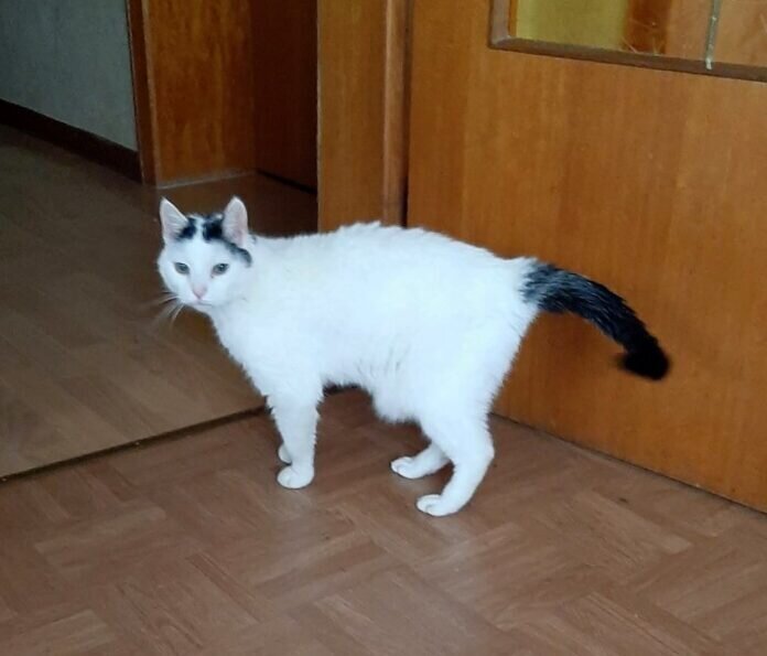 IMG-20221204-WA0017(1)a