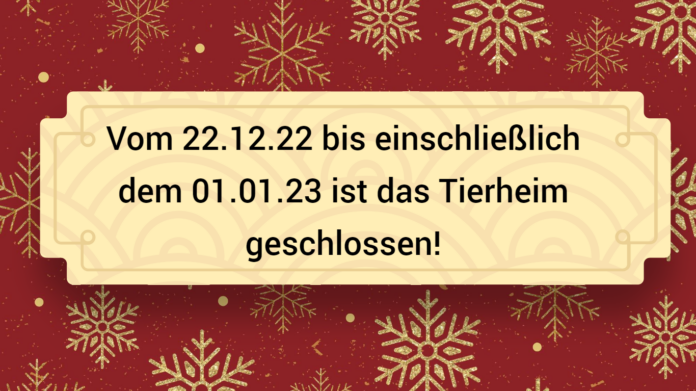 Simple White Life Moment Wallpaper