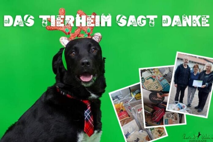 WhatsApp-Image-20ss22-12-27-at-14.54.40-768x512