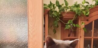 Na,was ist denn hier los?