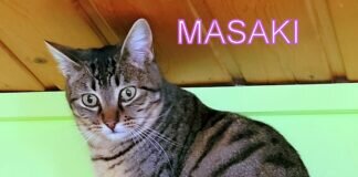 Ein süßes Geschwistertrio!