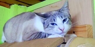 Endlich in Sicherheit!