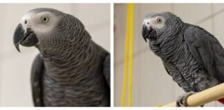 PÜNKTCHEN UND ANTON – VERMITTELT –