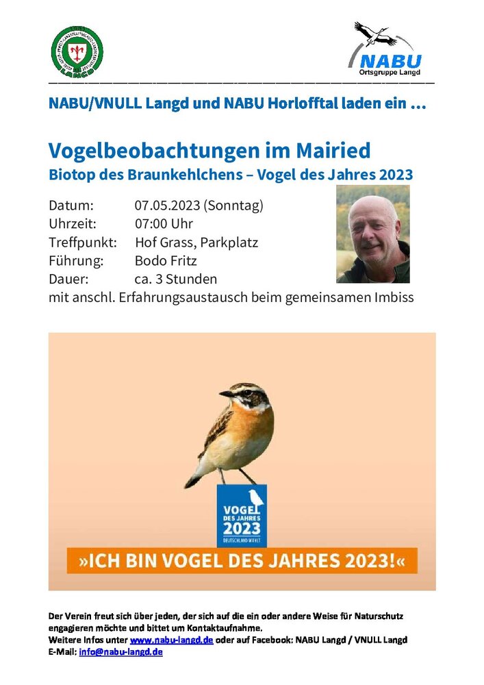 Vogelbeobachtung im Mairied