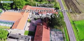 TIERHEIMRUNDGANG AM SONNTAG