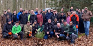 Limeswerkstatt-Personal pflanzt 500 Bäume – Arbeitseinsatz im Wald bei Treis