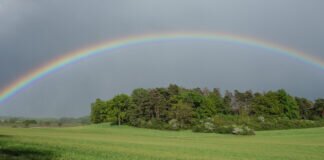 Die NABU-Arbeit trägt Früchte