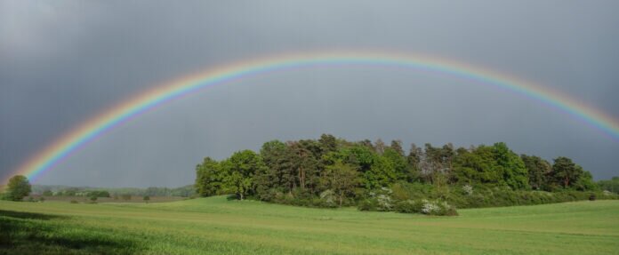 Lebensräume schützen