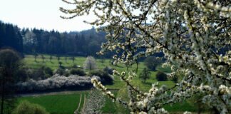 Wann wird es endlich wärmer und vor allem beständiger?