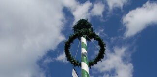 Traktorfreunde Krofdorf-Gleiberg sehr aktiv – der neue Maibaum verlangt Arbeitseinsatz