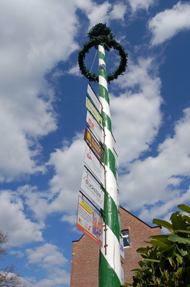 Maibaum 23