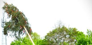 1. Mai feiern beim Musikzug der FFw !! Auf nach Holzheim!!!