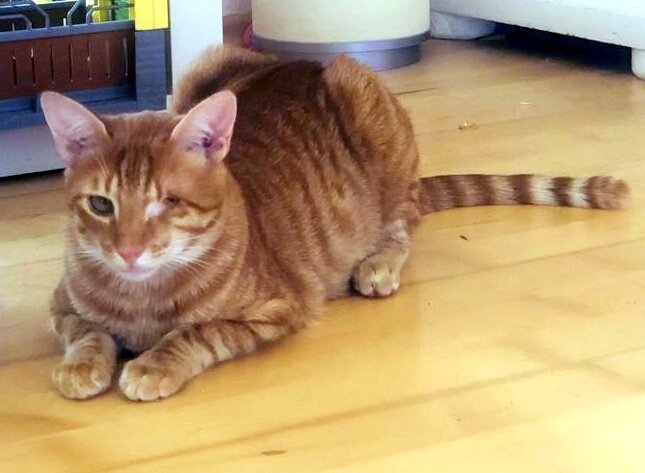 0c6cb667-b093-4e8d-9a7a-0e719c3fe85f