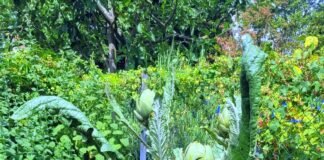 Schön fürs Auge und ein leckeres Gericht!