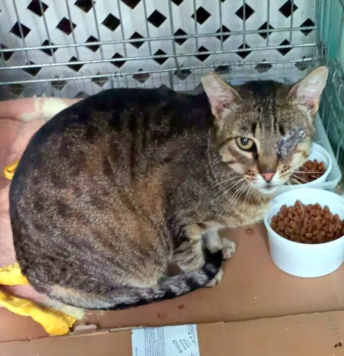 230605 Rufo (1) - Kopie