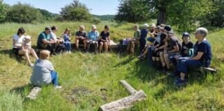 Kräuterwanderung auf den Köppel bei Langd