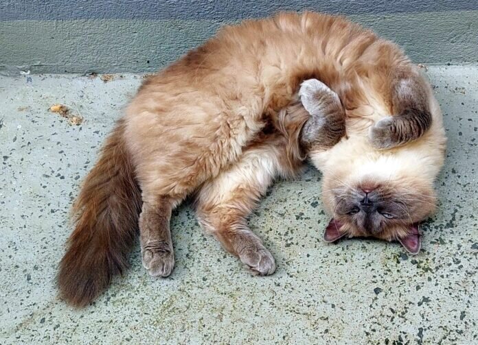 20230701_104404 - Kopie