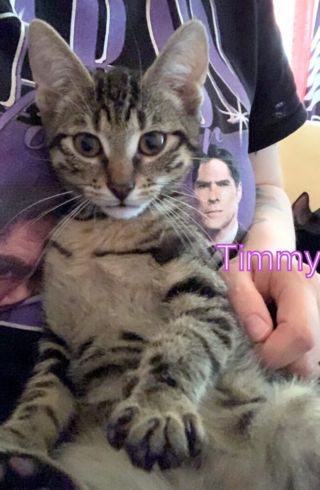 B25BA41A-0F97-4867-AE01-842994D5F0E7