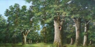 Bäume zeichnen mit Dieter Schiele