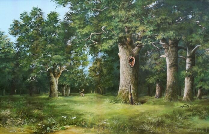 Dieter Schiele, Heimische Laubbäume