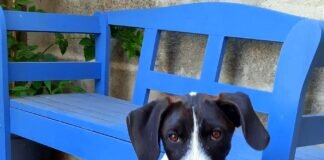 Einer ist immer der Letzte!