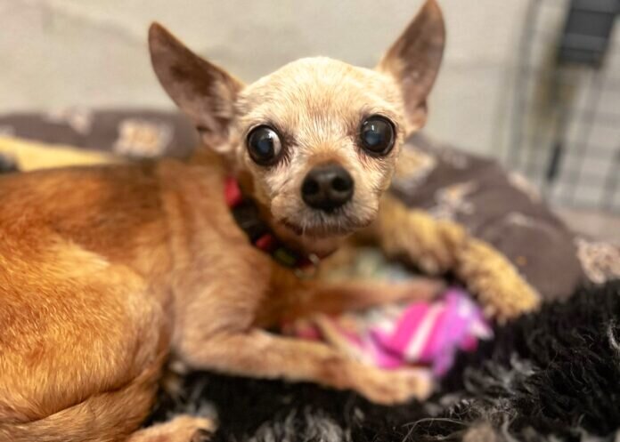 bbb262a5-f266-4d32-be35-77efdf7a53b1_inPixio