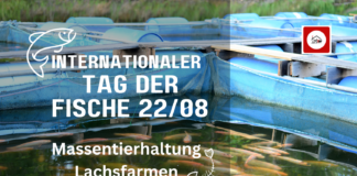 Tag der Fische