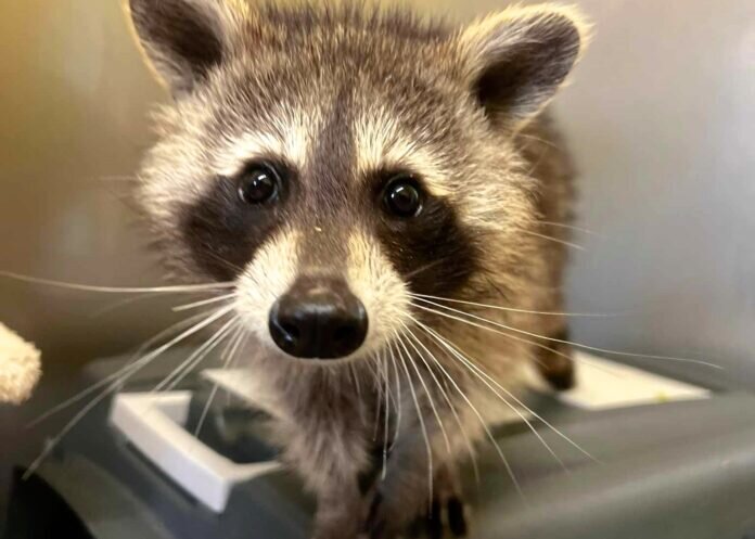 364394139_258982820254244_7794224092693014958_n_inPixio - Copy