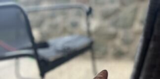 Wer kennt diese Katze!