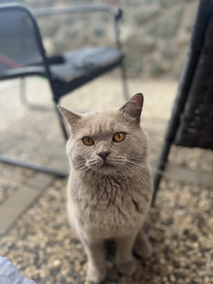 367562311_1093677615160711_4986371949227982961_n