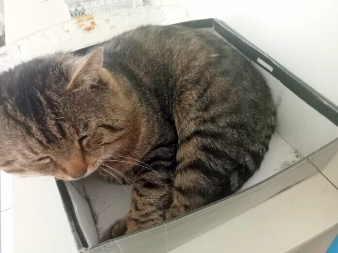 7812438e-679a-4b7b-ab24-65938787a050