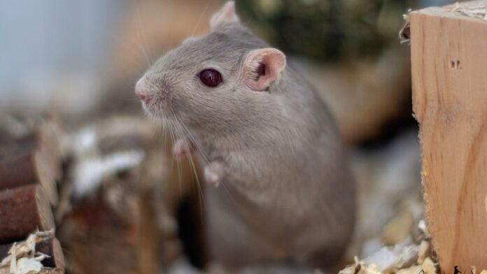 DSC_0159_inPixio - Copy