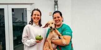 1400 Euro für das Tierheim Gießen ☺