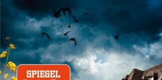 Buchtipp: Der Verrat – Ellen Sandberg