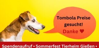 Tierheim Gießen – Sommerfest 27.08.
