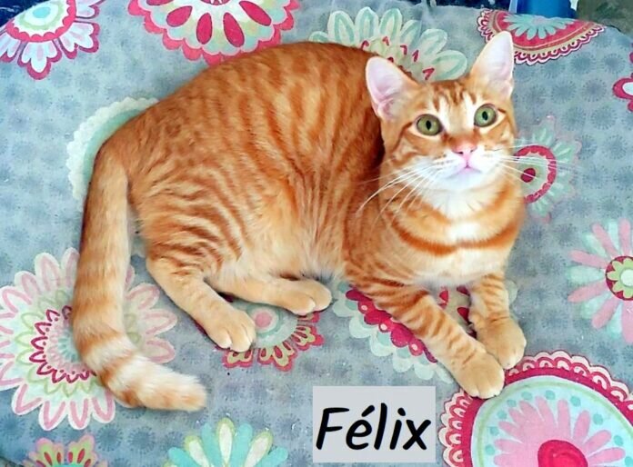 WhatsApp Image 2023-08-20 at 09.30.08-1